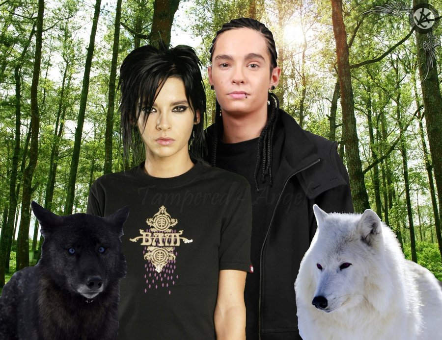 wolfpack